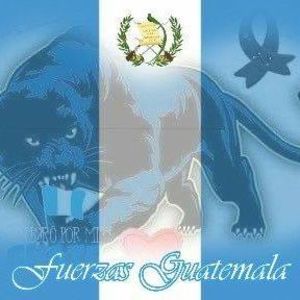 Meet your Posher, Alejandro